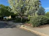 4/10-14 High Street, Charlton, Vic 3525-Image