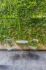 4/103 Rose Street, Fitzroy, Vic 3065-Image