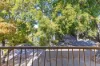 4/111 Moreton Street, New Farm, Qld 4005-Image