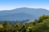 4/25 Fairway Avenue, Mount Beauty, Vic 3699-Image
