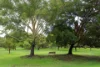 4/26 Cunningham Terrace, Daglish, WA 6008-Image