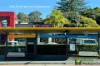 4/299 Condamine Street, Manly Vale, NSW 2093-Image