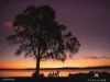 4/47 Yorston Street, Warners Bay, NSW 2282-Image