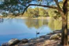 4/53-55 Campbell Parade, Manly Vale, NSW 2093-Image