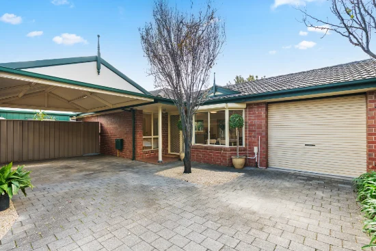 4/53 Angus Avenue, Edwardstown, SA 5039