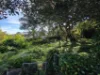 4/682 Old South Head Road, Rose Bay NSW 2029-Image