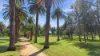 4/88 Fitzroy Street, Tamworth, NSW 2340-Image