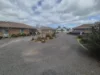 4/9 Hart Street, Euroa, Vic 3666-Image