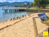 406/99 Esplanade, Cairns City QLD 4870-Image
