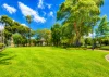 41/2 Charles Street, Parramatta, NSW 2150-Image