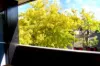 41/299 Forbes Street, Darlinghurst, NSW 2010-Image