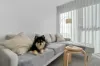 412/2 Grazier Lane, Belconnen ACT 2617-Image