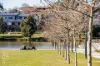 415/38 Oakden Street, Greenway, ACT 2900-Image