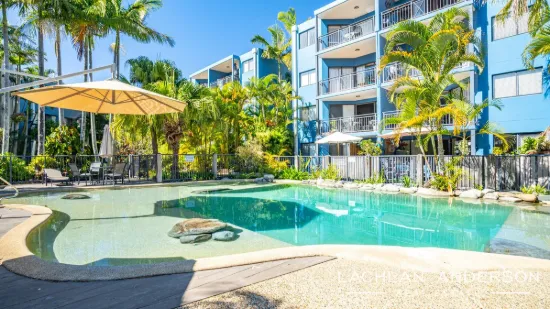 42/6 Beerburrum Street, Dicky Beach, Qld 4551-Image
