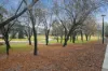 43/65 Constitution Avenue, Campbell ACT 2612-Image