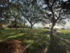 43/8 Knuckey Street, Darwin City, NT 0800-Image