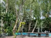 4402/2-22 Veivers Road, Palm Cove, Qld 4879-Image