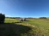 449 Back Forest Road, Far Meadow NSW 2535-Image