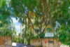 45/17 Geranium Street, The Gardens, NT 0820-Image