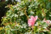 47A Elphinstone Rd, Mount Stuart, Tas 7000-Image