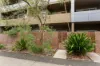 4G/75-81 Park Road, Homebush, NSW 2140-Image