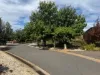 5/10-14 High Street, Charlton, Vic 3525-Image