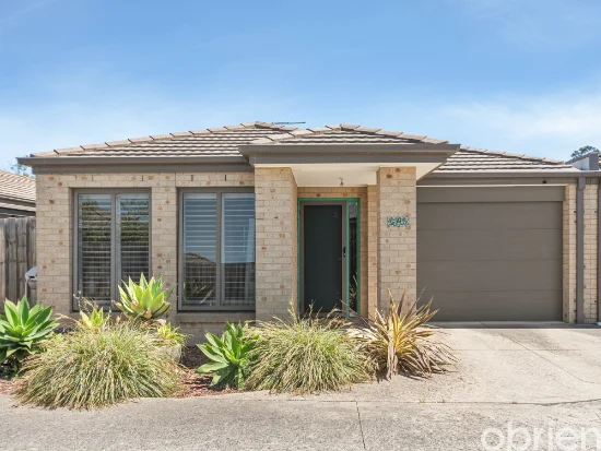 5/15 Warrenwood Place, Langwarrin, Vic 3910