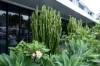5/16 Market Street, Woolgoolga, NSW 2456-Image