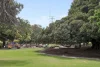 5/177 Palmerston Street, Perth, WA 6000-Image