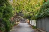 5/19 Park Road, Kensington Park, SA 5068-Image