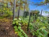 5/2254 Channel Highway, Snug, Tas 7054-Image