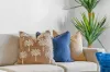 5/26 Albatross Avenue, Mermaid Beach, Qld 4218-Image