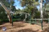 5/27A Thornton Street, Kensington, SA 5068-Image
