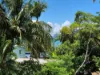 5/3 Lamond Street, Airlie Beach QLD 4802-Image