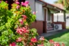 5/30 Henry Street, Payneham, SA 5070-Image