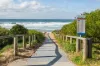 5/31 Cavill Street, Freshwater, NSW 2096-Image