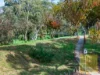 5/36 Brown Street, Willaston, SA 5118-Image