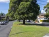 5/37 Palace Street, Ashfield, NSW 2131-Image