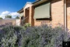 5/394 Conadilly Street, Gunnedah, NSW 2380-Image