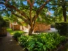 5/50 Douglas Street, Greenslopes, Qld 4120