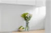 5/50 Hampstead Road, Highgate Hill, Qld 4101-Image