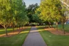 5/54 Devereux Road, Hazelwood Park, SA 5066-Image