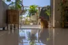 5/58 Clarendon Street, East Brisbane, Qld 4169-Image