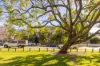 5/58 Clarendon Street, East Brisbane, Qld 4169-Image