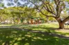 5/58 Clarendon Street, East Brisbane, Qld 4169-Image