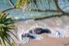 5/59 Ducat Street, Tweed Heads, NSW 2485-Image