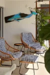 5/8-10 Georgina Street, Woody Point, Qld 4019-Image