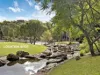 5/9 Hillard Street, Wiley Park, NSW 2195-Image