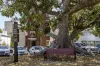 5/94 Elizabeth Bay Road, Elizabeth Bay, NSW 2011-Image