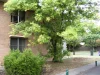 5/97A Watson Avenue, Toorak Gardens, SA 5065-Image